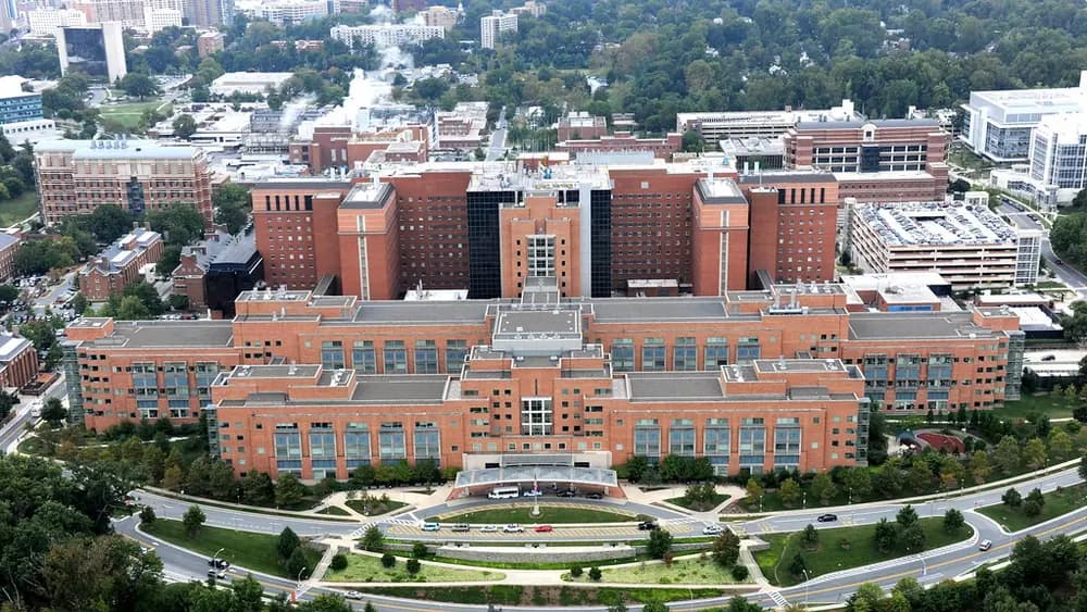 Several school buildings seen from the air